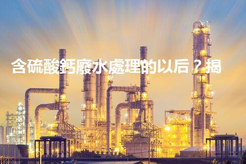 含硫酸鈣廢水處理的以后？揭秘行業(yè)領(lǐng)先技術(shù)！